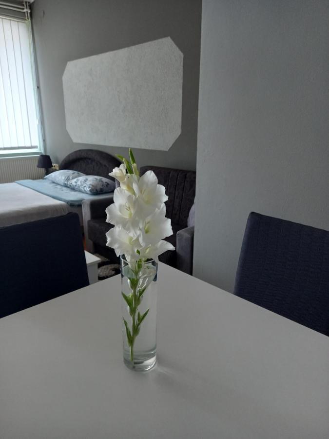 Apartmani Lazaro Višegrad Екстериор снимка